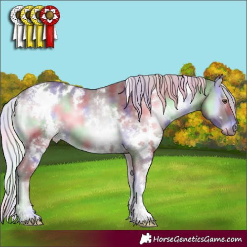 Horse Color:Nacre White Spotted Chocolate Silver Blue Onyx Chinchilla