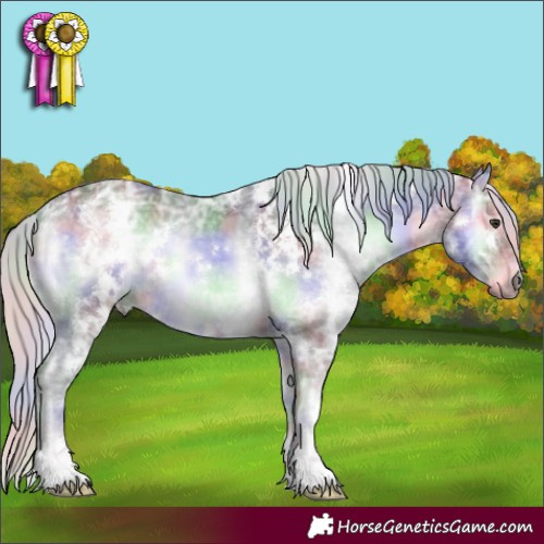 Horse Color:Nacre White Spotted Silver Blue Onyx Chinchilla Ice 