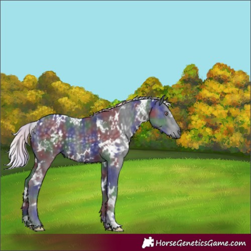 Horse Color:Nacre White Spotted Silver Black Chinchilla 