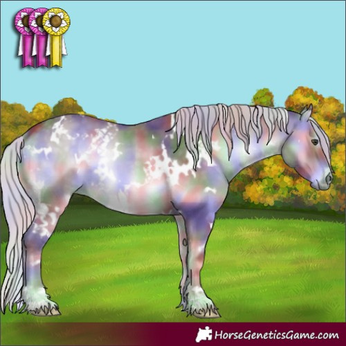 Horse Color:Nacre White Spotted Chocolate Silver Blue Onyx Chinchilla