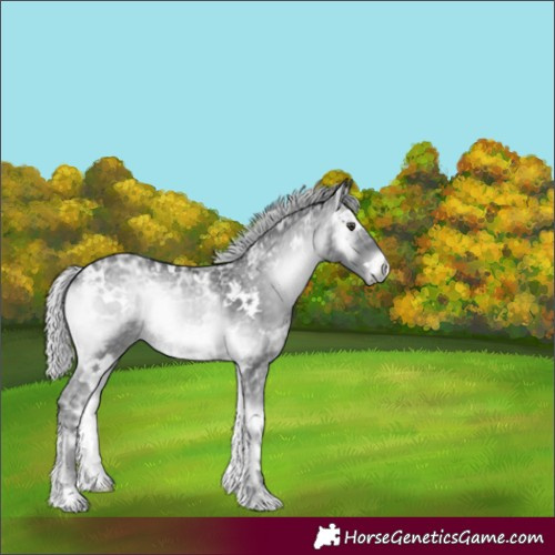 Horse Color:White Spotted Silver Blue Onyx Chinchilla Ice 