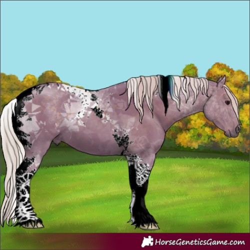 Horse Color:Watercolor Silver Black Tobiano 