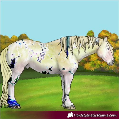 Horse Color:Watercolor White Spotted Red Onyx Chinchilla Ice 