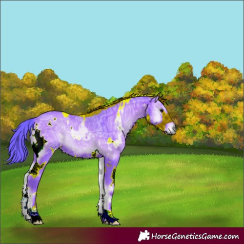 Horse Color:Watercolor White Spotted Red Onyx Ice 