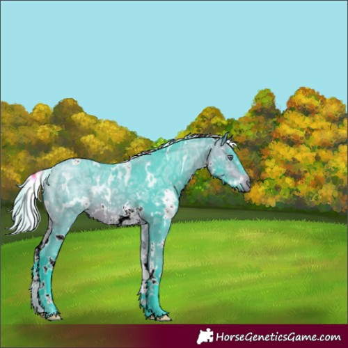 Horse Color:Watercolor White Spotted Silver Bay Chinchilla Ice