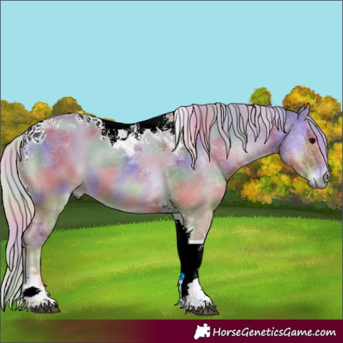 Horse Color:Nacre Silver Grullo Onyx Tobiano 