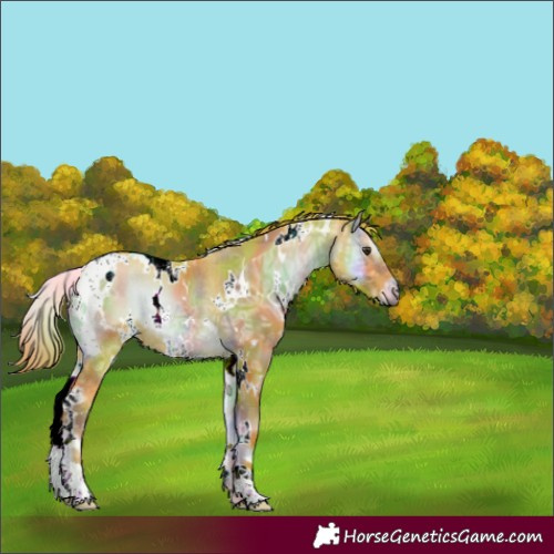 Horse Color:Nacre Watercolor White Spotted Red Onyx Ice 