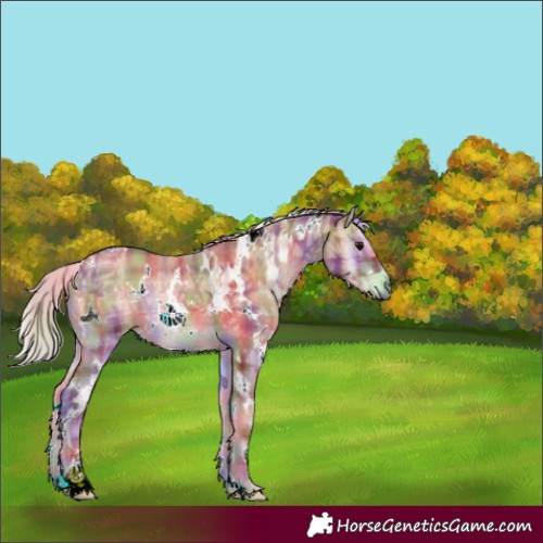 Horse Color:Nacre Plaid  White Spotted Silver Bay Ice Onyx 