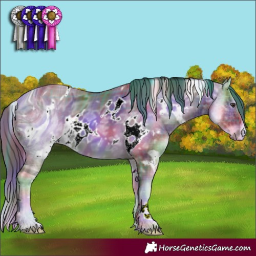 Horse Color:ERROR: UNKNOWN ANOMALY