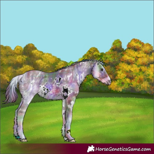 Horse Color:ERROR: UNKNOWN ANOMALY
