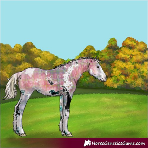 Horse Color:Watercolor Plaid  White Spotted Silver Bay Ice Onyx 