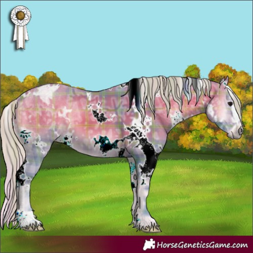 Horse Color:Watercolor Plaid  White Spotted Silver Bay Ice Onyx 