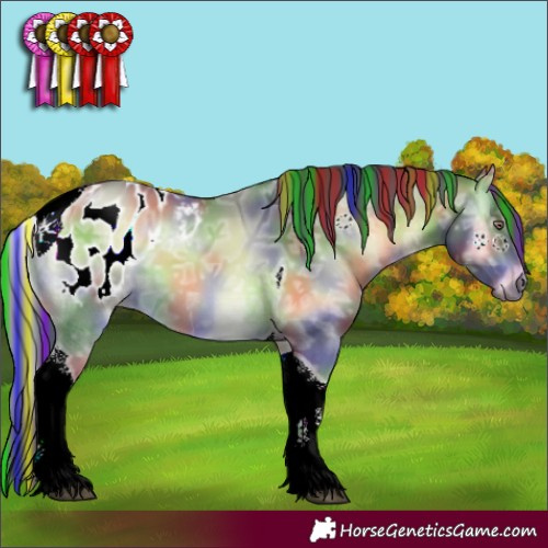 Horse Color:Gray Painted Nacre Bay Chinchilla Ice Onyx Tobiano Appaloosa 