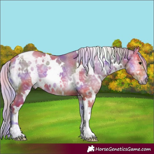 Horse Color:Nacre Watercolor White Spotted Chocolate Silver Bay Ice Onyx