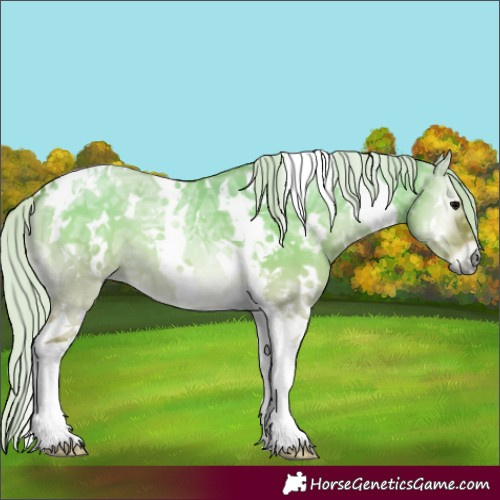 Horse Color:Watercolor White Spotted Silver Grullo Ice Onyx Tobiano 