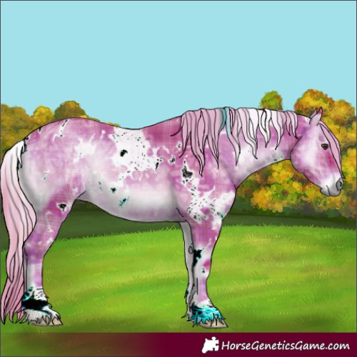Horse Color:Watercolor Plaid  White Spotted Red Onyx Ice 