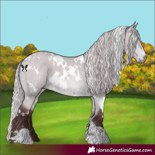 Horse Color:White Spotted Chocolate Silver Bay Chinchilla