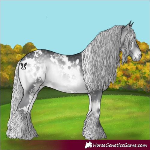 Horse Color:White Spotted Silver Blue Onyx Chinchilla
