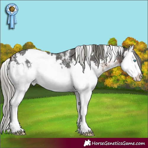 Horse Color:White Spotted Liver Chestnut Mushroom Sabino Splash