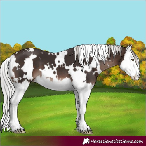 Horse Color:White Spotted Silver Brown Mushroom Splash 