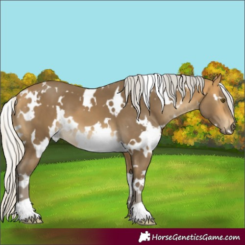 Horse Color:White Spotted Silver Buckskin Mushroom