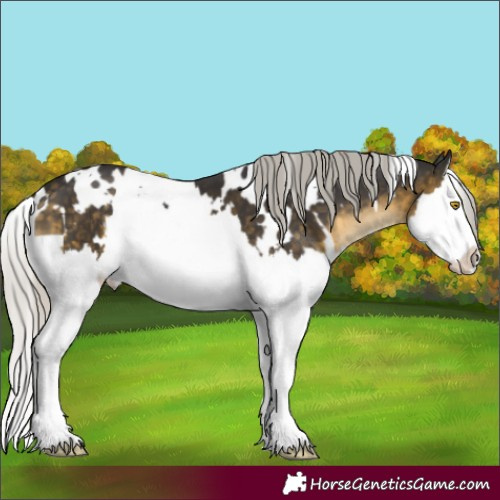 Horse Color:White Spotted Silver Buckskin Mushroom Splash