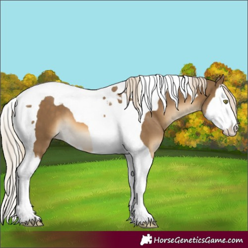 Horse Color:Chocolate Palomino Mushroom Splash Tobiano