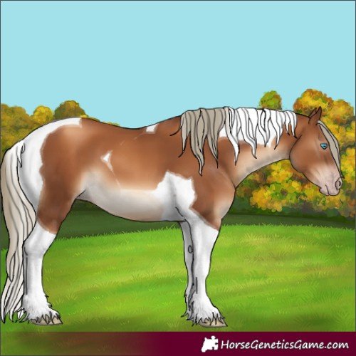 Horse Color:Gray Gold Champagne Mushroom Tobiano 