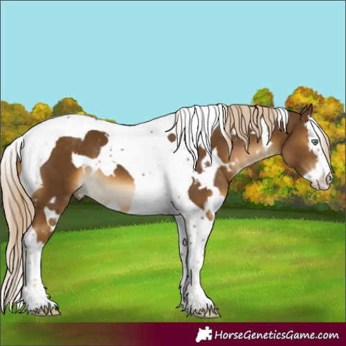 Horse Color:White Spotted Chocolate Palomino Mushroom Splash Tobiano 
