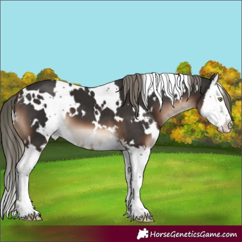 Horse Color:White Spotted Liver Chestnut Mushroom Splash 
