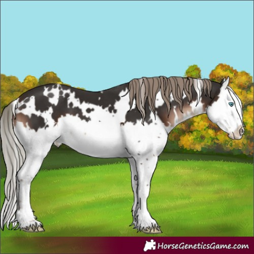 Horse Color:White Spotted Liver Chestnut Mushroom Splash 
