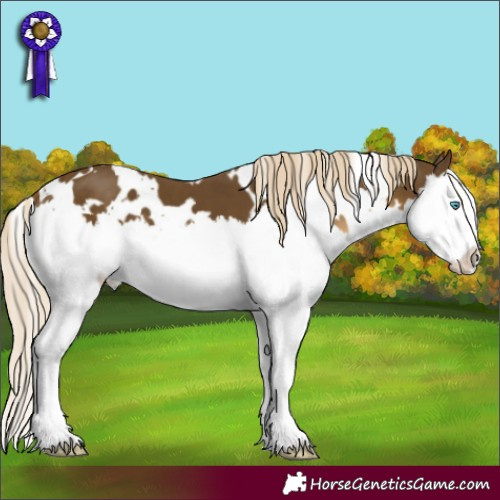 Horse Color:White Spotted Chocolate Palomino Mushroom Splash 