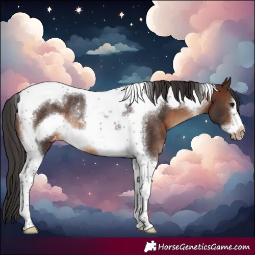 Horse Color:Brown Tobiano Frame Varnish Rabicano 