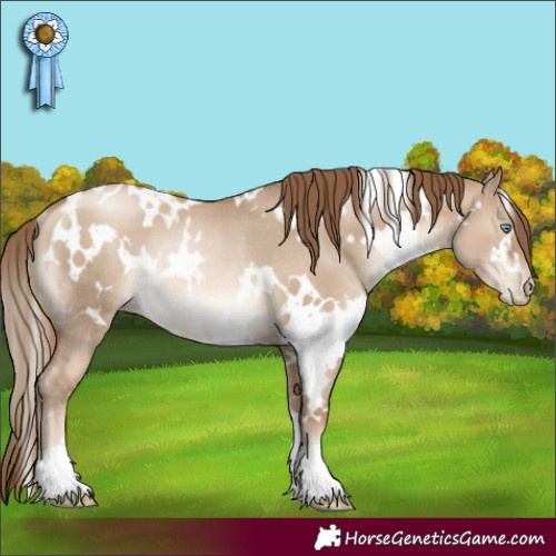 Horse Color:White Spotted Liver Red Dun Pearl Rabicano