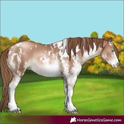 Horse Color:White Spotted Liver Chestnut Pearl 