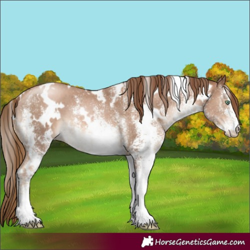 Horse Color:White Spotted Liver Chestnut Pearl 