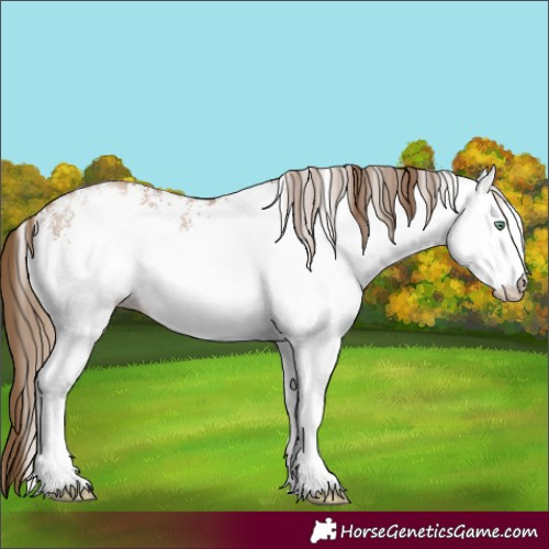 Horse Color:White Spotted Liver Chestnut Pearl