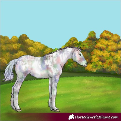 Horse Color:Nacre White Spotted Silver Blue Onyx Chinchilla Ice 