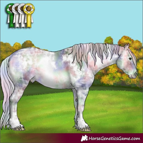 Horse Color:Nacre White Spotted Silver Blue Onyx Chinchilla Ice 