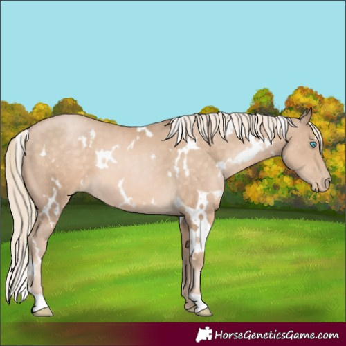 Horse Color:White Spotted Chocolate Palomino Pearl 