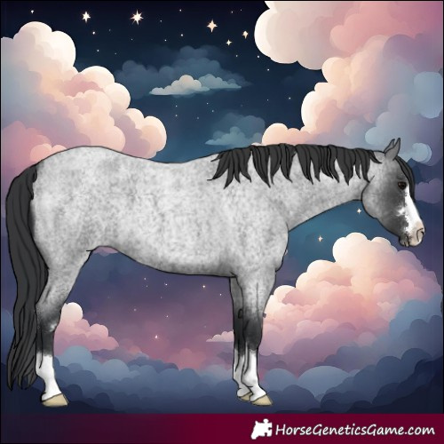 Horse Color:Blue Roan 