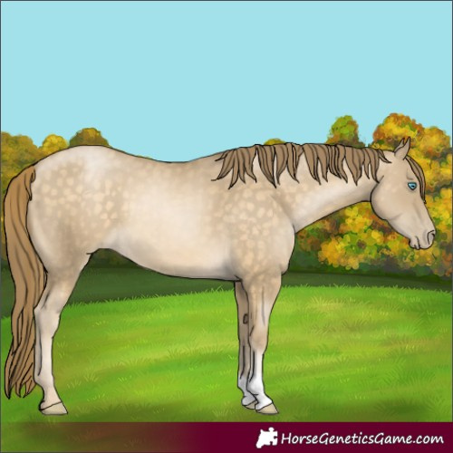 Horse Color:Buckskin Pearl 