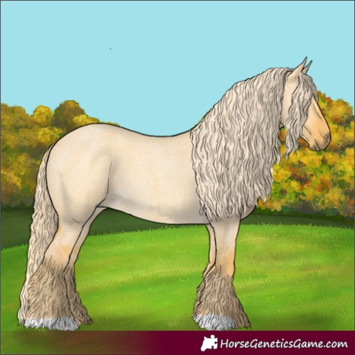 Horse Color:Palomino Roan Dun 