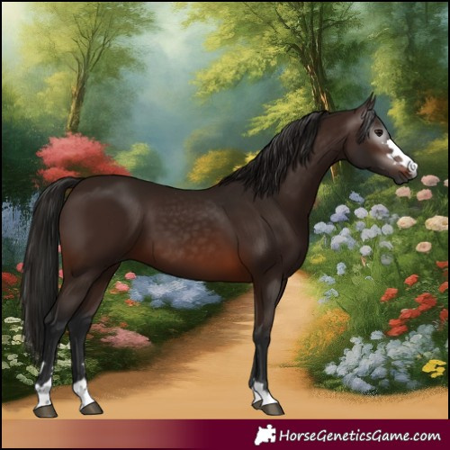 Horse Color:Gray Bay 