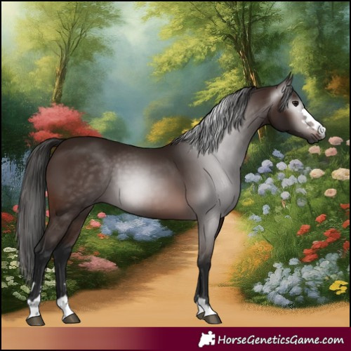 Horse Color:Gray Bay