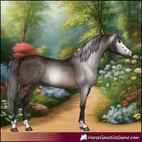 Horse Color:Gray Bay 
