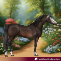 Horse Color:Gray Bay 