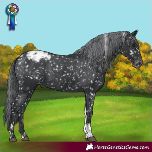 Horse Color:Black Chinchilla Tobiano Snowcap 