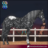 Horse Color:Black Chinchilla Tobiano Snowcap