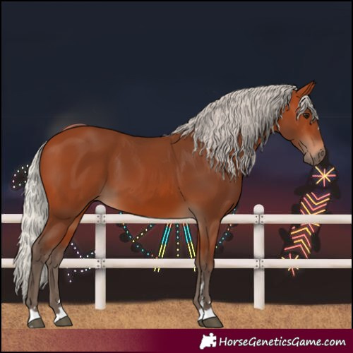 Horse Color:Silver Bay 